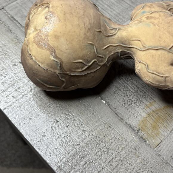 Latex Alien Extraterrestrial Figure Prop 13” Area 51 Halloween - Picture 6 of 9